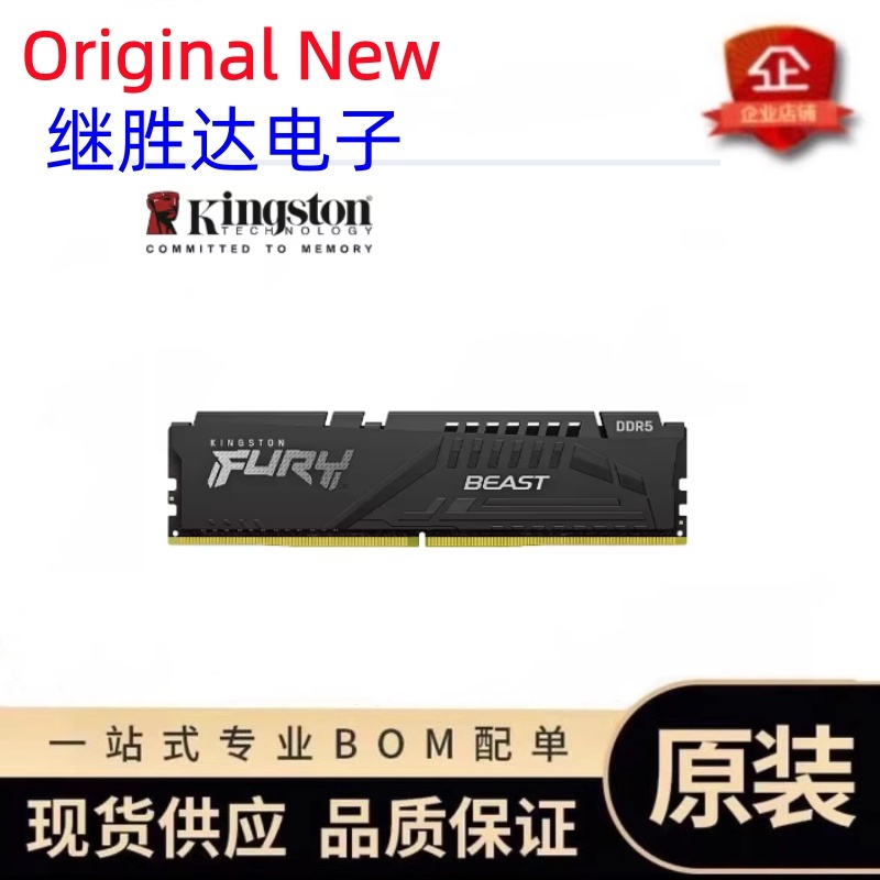 Kingston FURY Beast DDR5 Memor - Ddr5 6000Mhz recension och pris